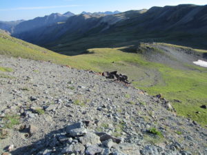 Colorado's High Country - about 12,000 feet